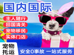 义勒力特国际宠物托运 【国